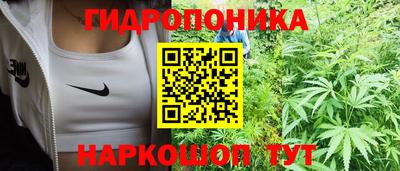 стаф Тара