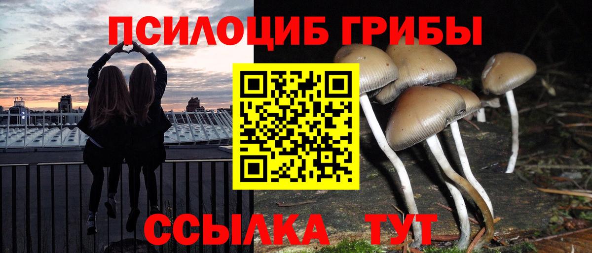 Галлюциногенные грибы Cubensis  Псилоцибиновые грибы ЛСД  Ногинск  Вход с VPN 