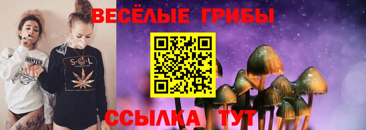 Псилоцибиновые грибы Magic Shrooms Ногинск